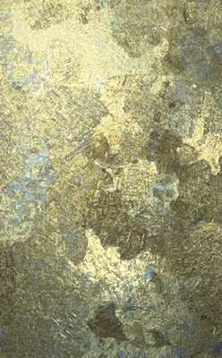 Forest Edge