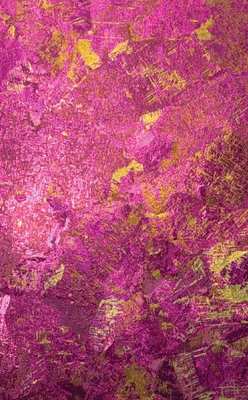 Fuchsia Aurora