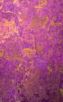 Orchid Valley