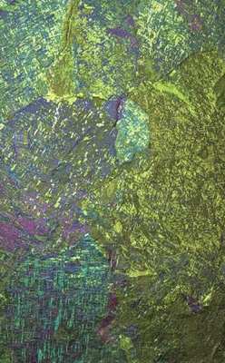 Evergreen Hills