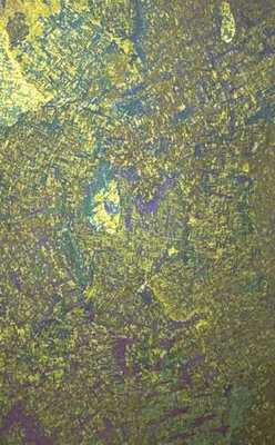 Boreal Woods
