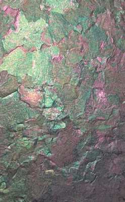 Grey Fern