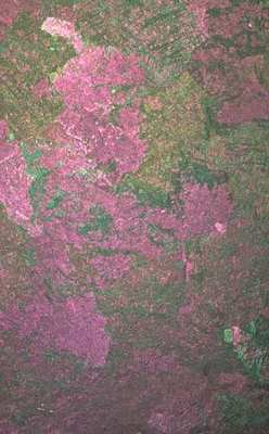 Rose Ash Rock